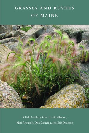 Grasses and Rushes of Maine. A field guide by Glen H. Mittelhauser, Matt Arsenault, Don Cameron, and Eric Doucette