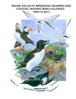 Maine Atlas of Breeding Seabird and Coastal Wading Bird Colonies 1960-2011