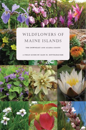 Wildflowers of Maine Islands: The Downeast and Acadia Coasts. a Field Guide by Glen H. Mittelhauser