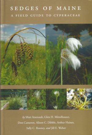 Sedges of Maine: a Field Guide to Cyperaceae by Matt Arsenault, Glen H. Mittelhauser, Don Cameron, Alison C. Dibble, Arthur Haines, Sally C. Rooney, and Jill E. Weber