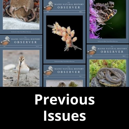 Previous issues of the Observer field journal