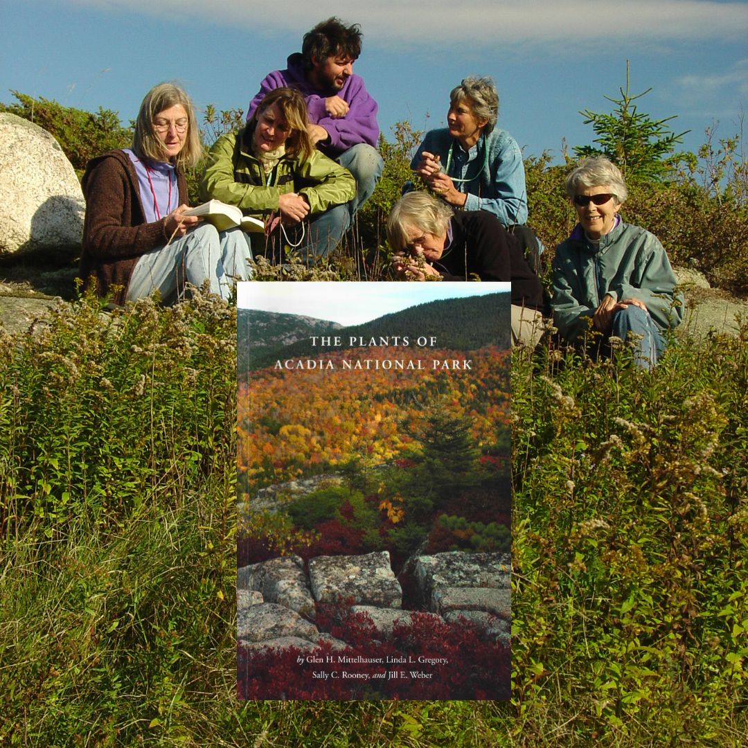 The Plants of Acadia National Park - Maine Natural History Observatory