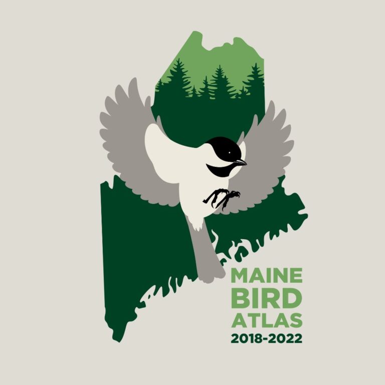 Maine Bird Atlas