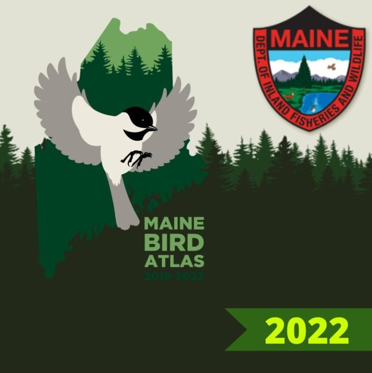 Maine Bird Atlas: 2022 Season Kickoff Meeting