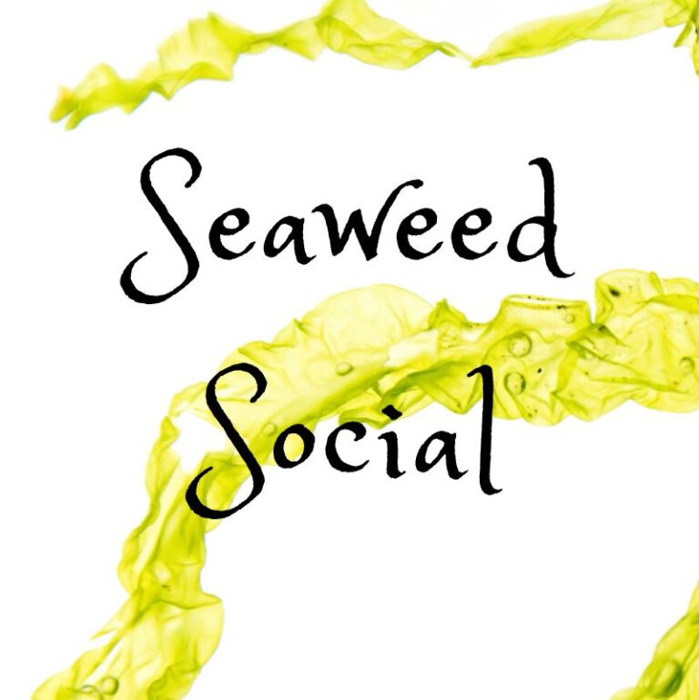 Seaweed Social