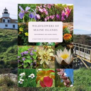 Wildflowers of Maine Islands