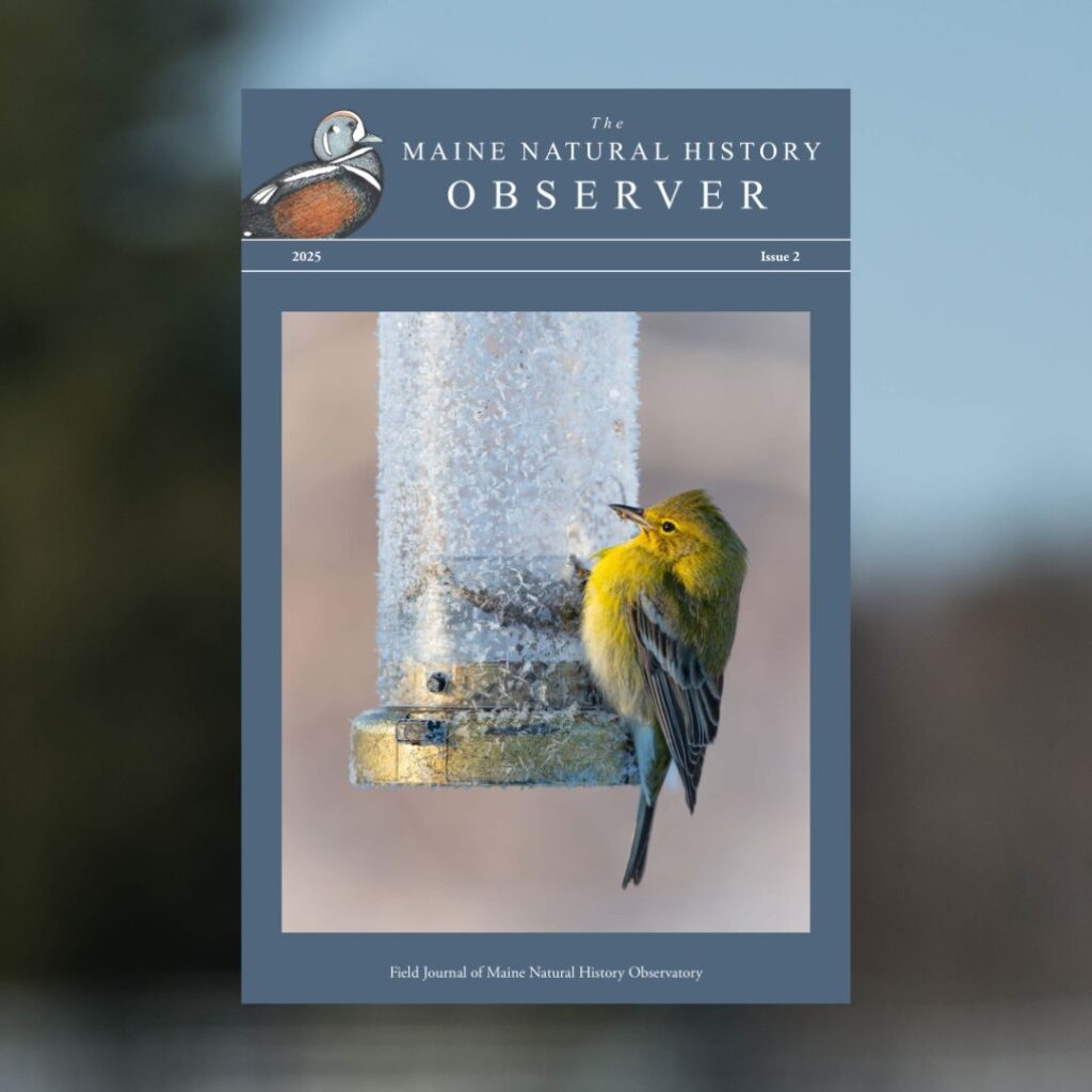 Observer field journal: 2025, Issue 2