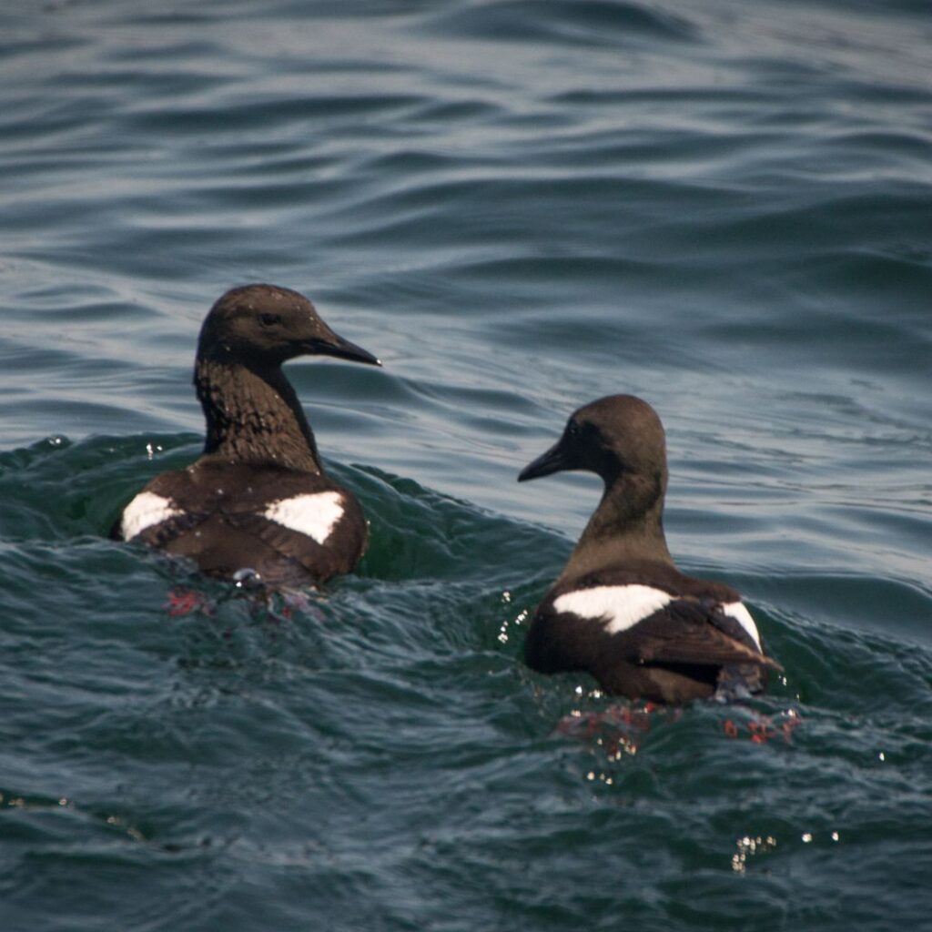 6/15/25: A Discussion with Megan McOsker, part 3