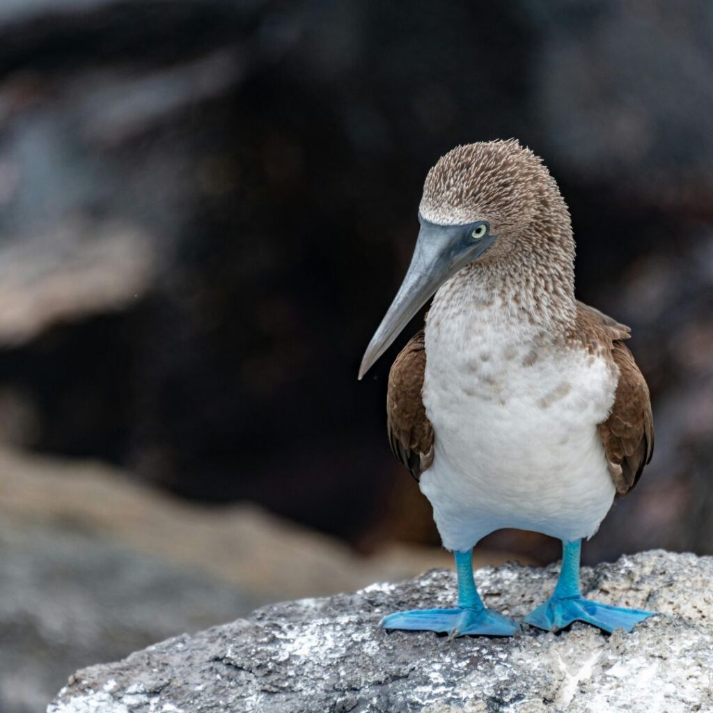 6/8/25: A Discussion with Megan McOsker, part 2