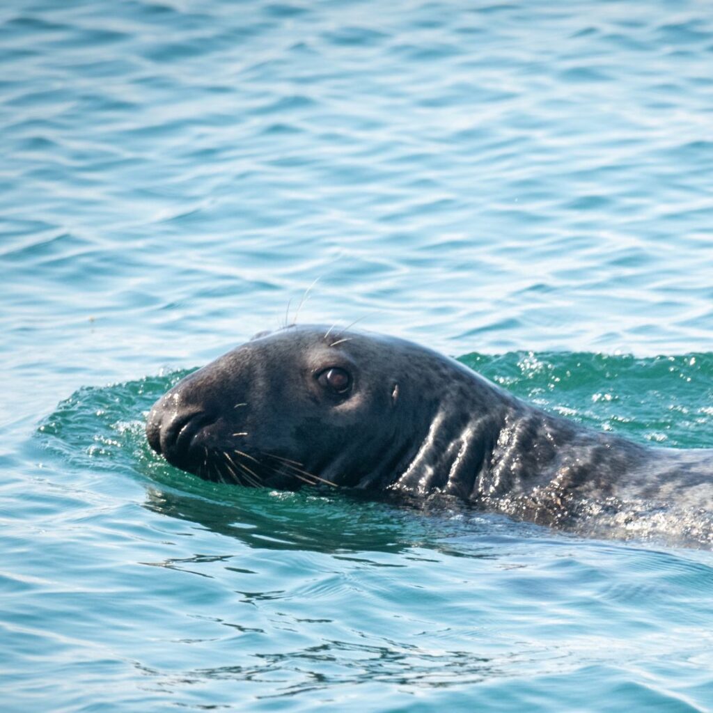 6/29/25: A Discussion with Megan McOsker, part 5