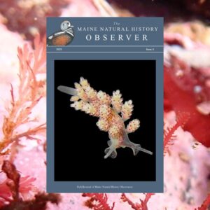 The Summer Issue of The Observer has been Published!