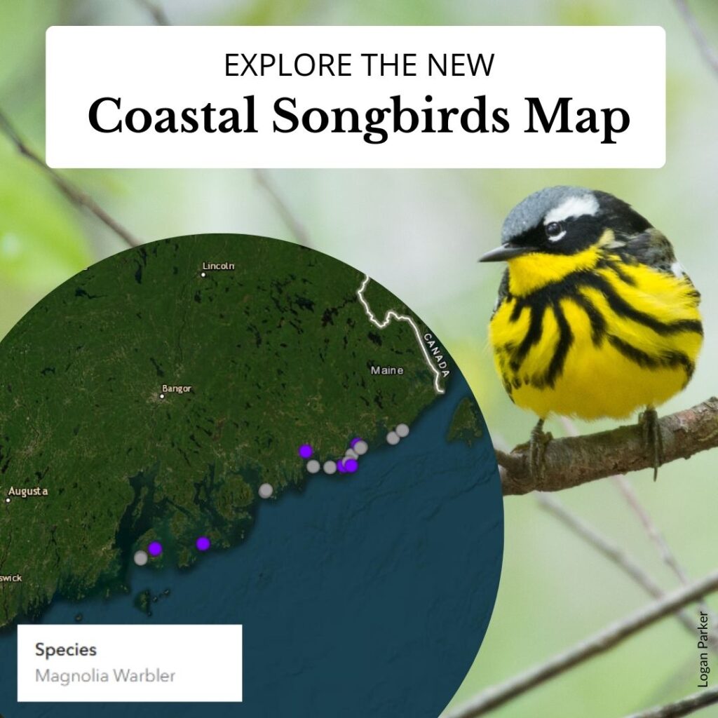 Check Out the New Coastal Songbirds Map!