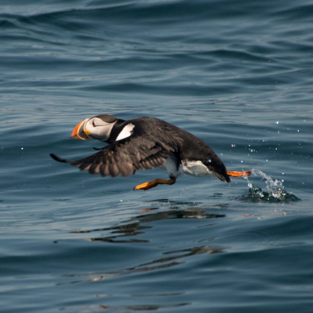 11/16/25: A Conversation with Coco and Tracey Faber, 2025, part 2