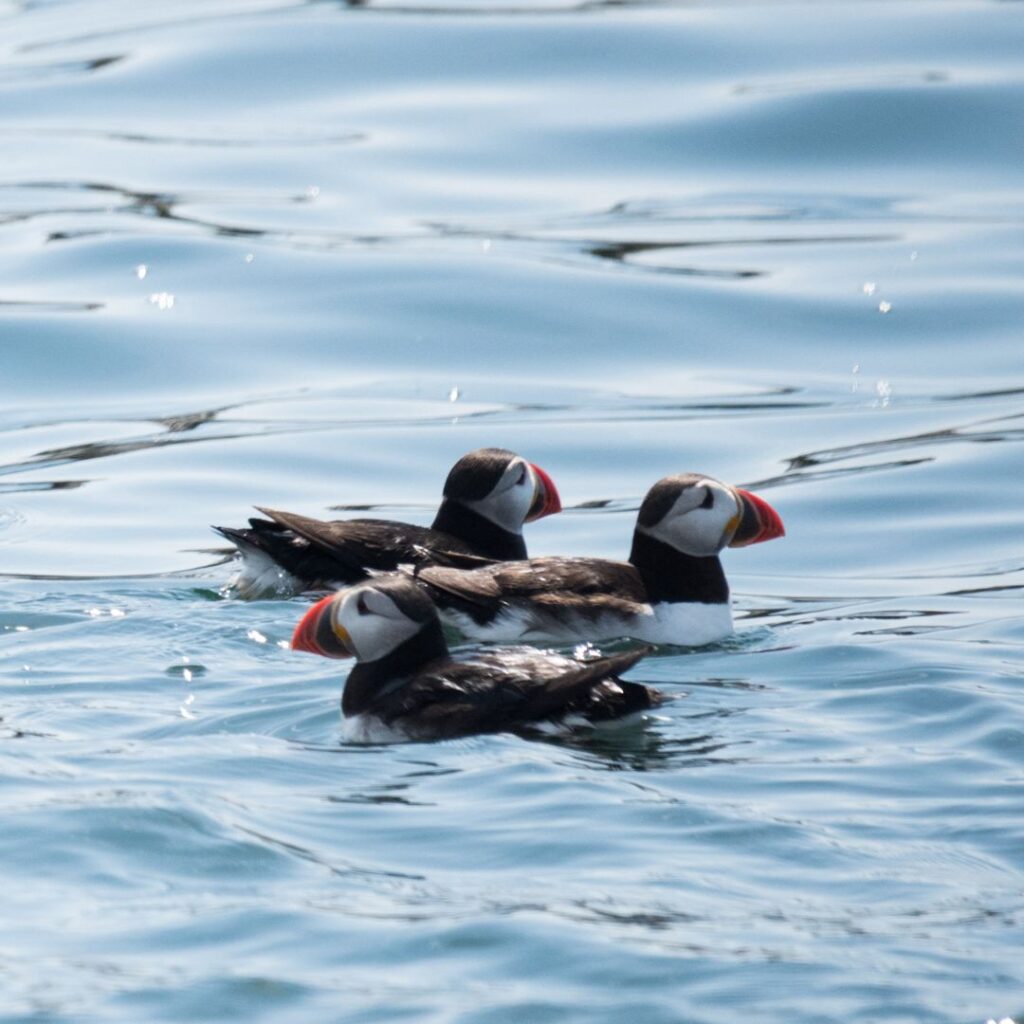 12/7/25: A Conversation with Alison Ballard, 2025