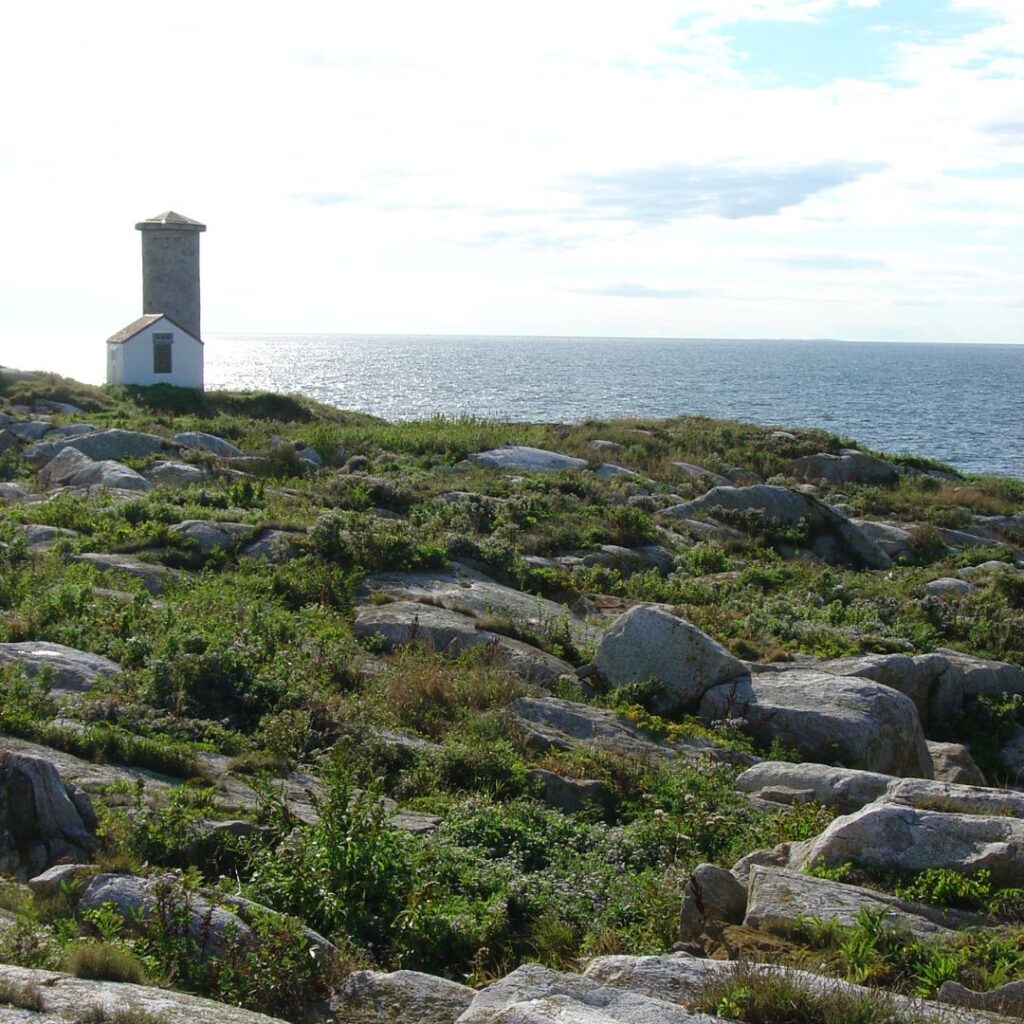 12/14/25: A Conversation with Peyton Caylor and Colleagues, 2025