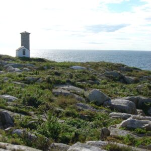 12/14/25: A Conversation with Peyton Caylor and Colleagues, 2025