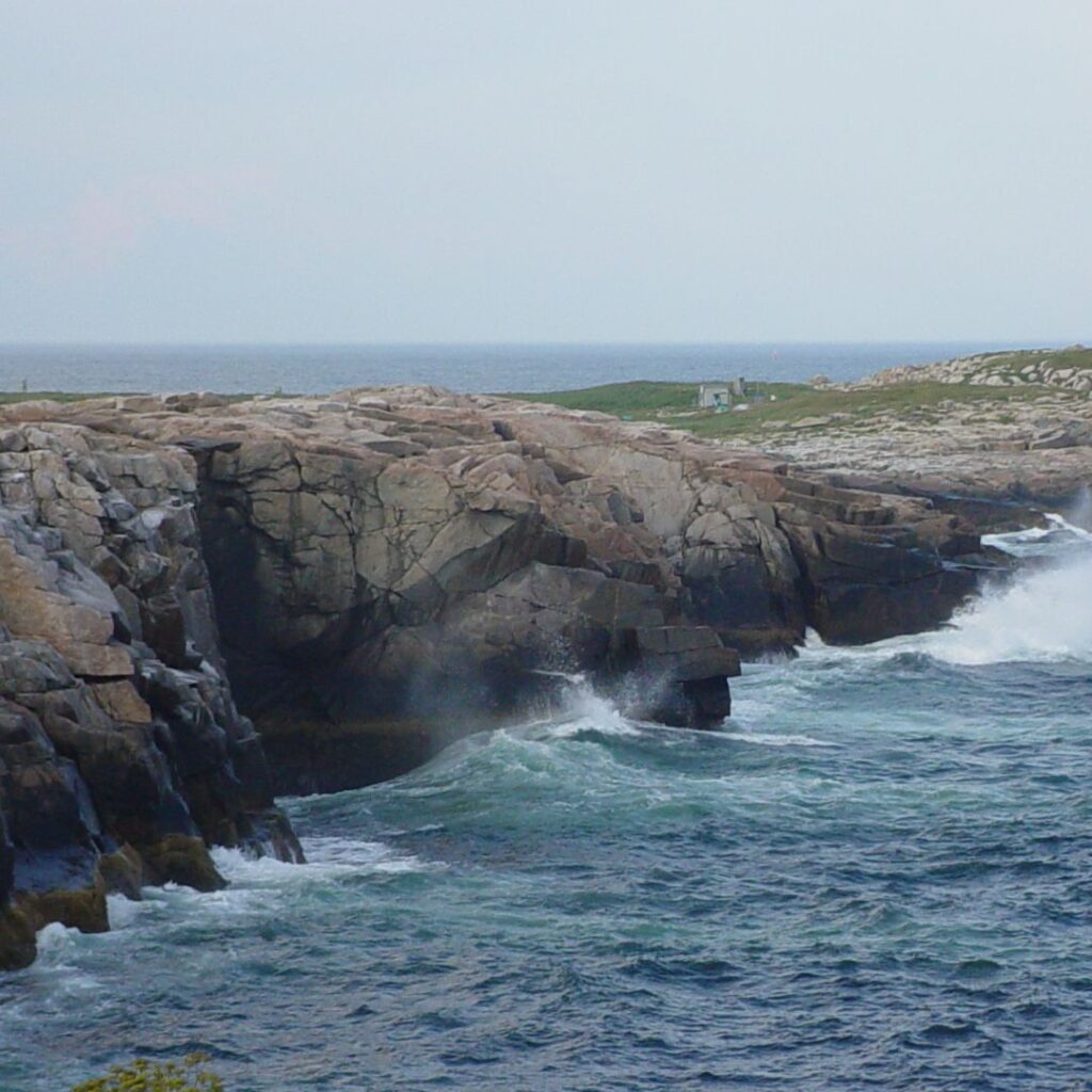 11/23/25: A Conversation with Coco and Tracey Faber, 2025, part 3