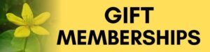Gift Memberships