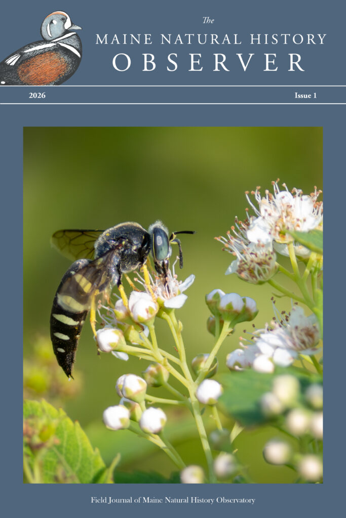 Observer field journal table of contents 2026 issue 1