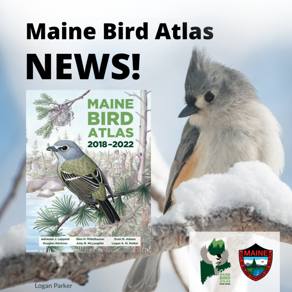 Maine Bird Atlas has been delivered to the publisher