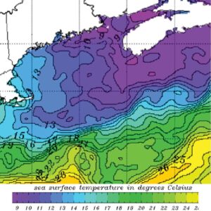 Sea Surface Tempature