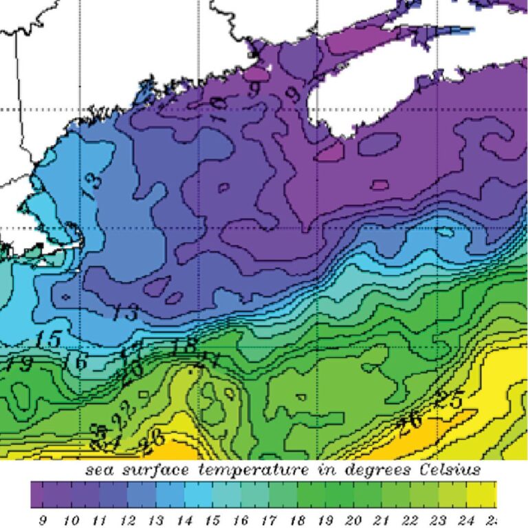 Sea Surface Tempature