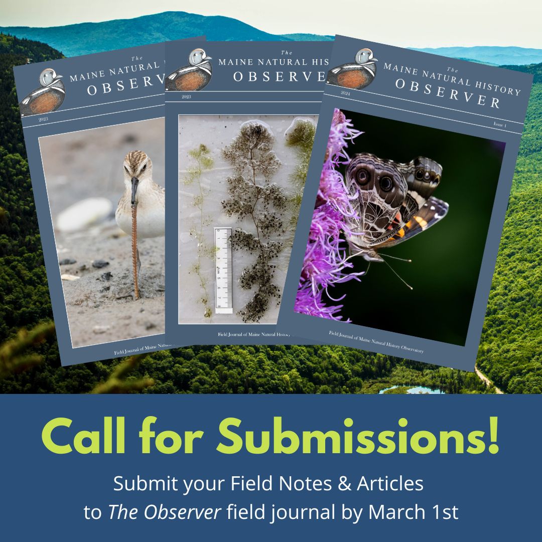 Call for Submissions: Submit your Field Notes & Articles 
to The Observer field journal by March 1st
