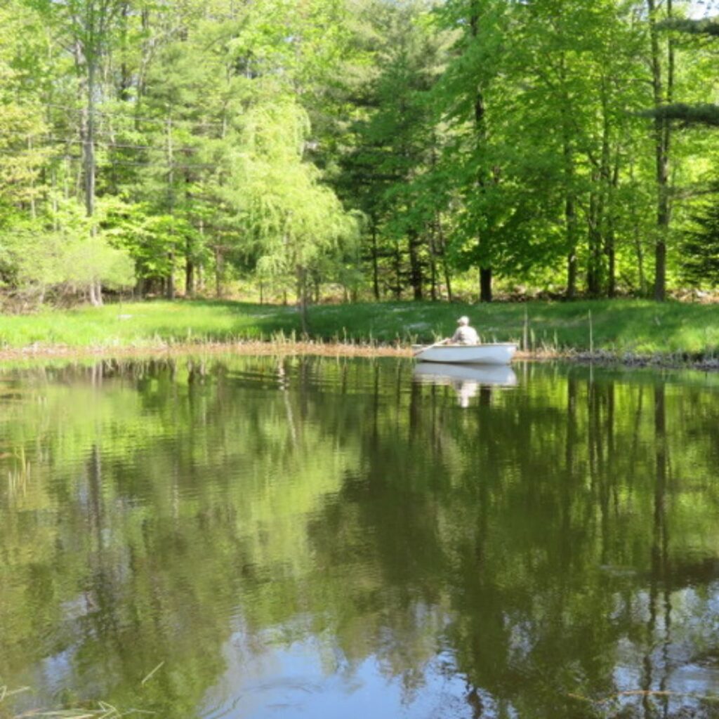 2/15/26: Observations at a Dug Pond