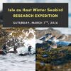 Isle au Haut Winter Seabird Research Expedition: Saturday, March 7th, 2026