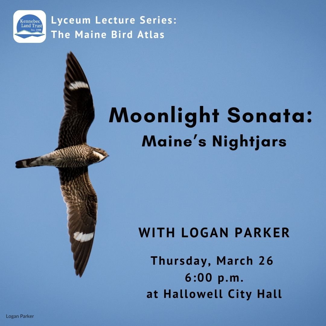 Lyceum Lecture Series: 
The Maine Bird Atlas - Moonlight Sonata: 
Maine’s Nightjars  - with Logan Parker - Thursday, March 26 
6:00 p.m. at Hallowell City Hall