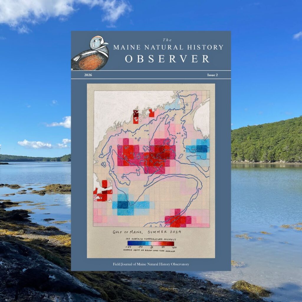 The Spring Issue of the Observer has been published!