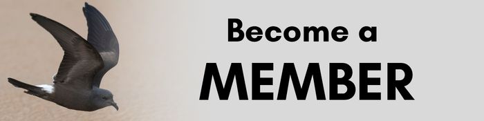 Become a member