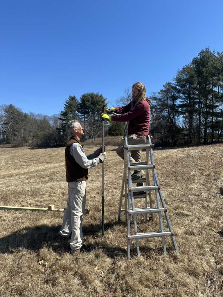 Deploying kestrel nest box