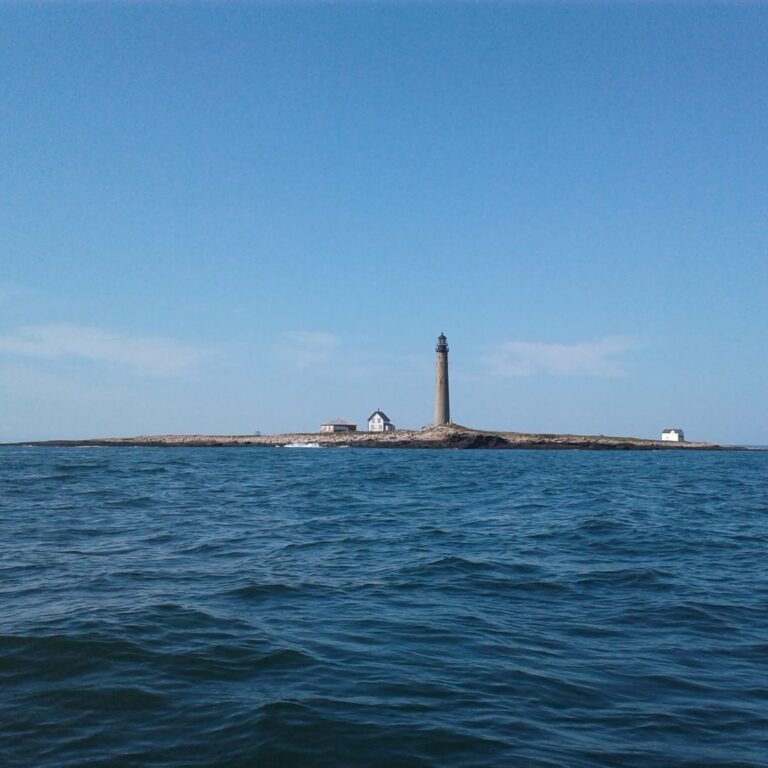 Petit Manan Island