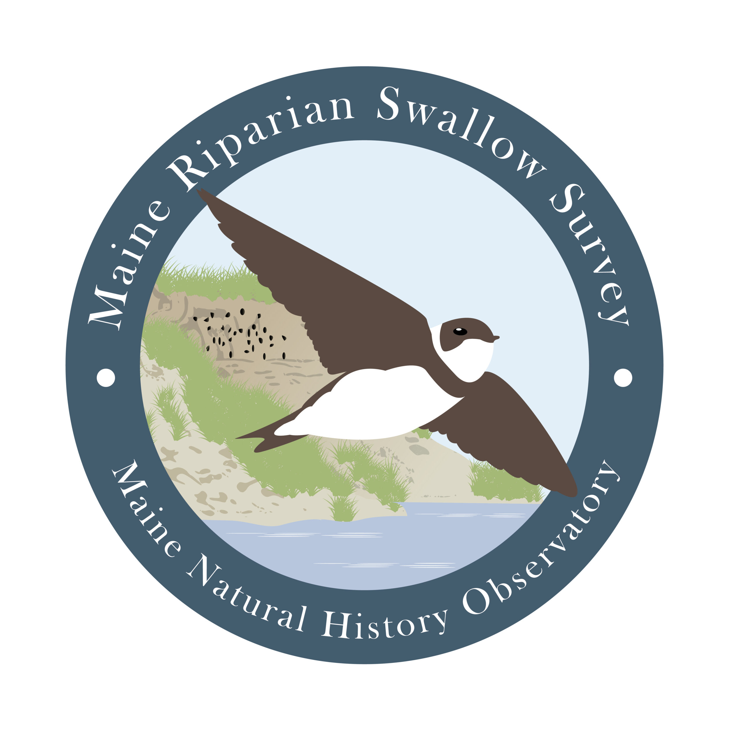 Maine Riparian Swallow Survey logo (a project of Maine Natural History Observatory)