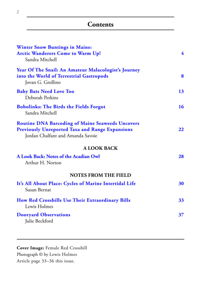 Observer 2026 issue 3 Table of Contents