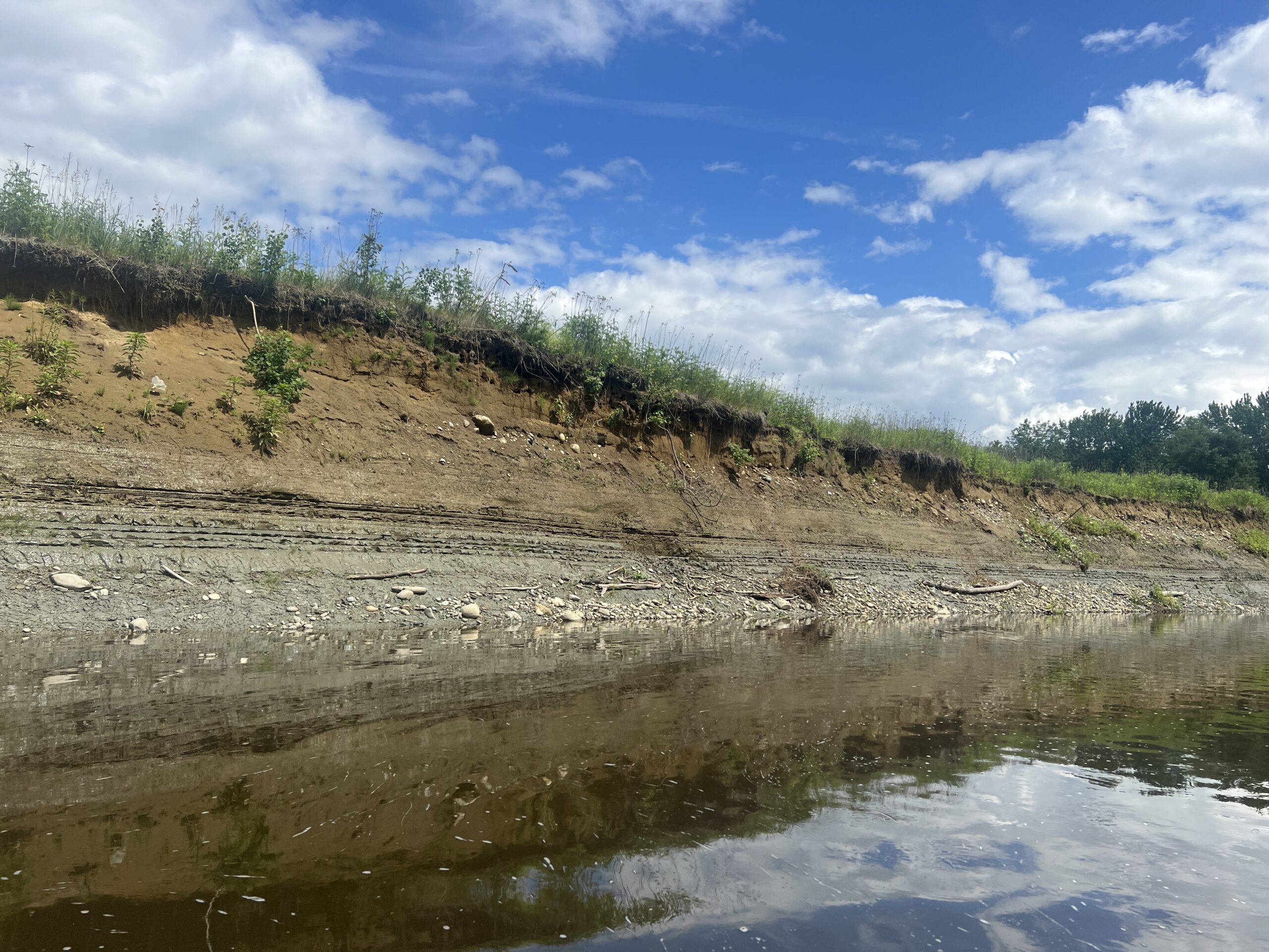 Sandy River Bank Swallow colony