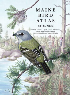 COMING SOON: Maine Bird Atlas 2018-2022