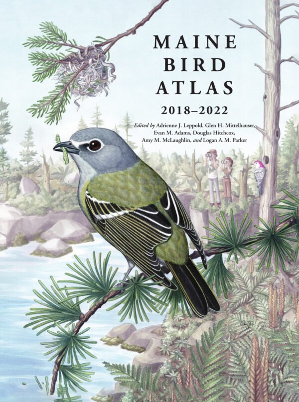 COMING SOON: Maine Bird Atlas 2018-2022
