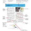COMING SOON: Maine Bird Atlas 2018-2022