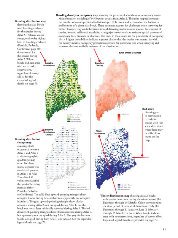COMING SOON: Maine Bird Atlas 2018-2022