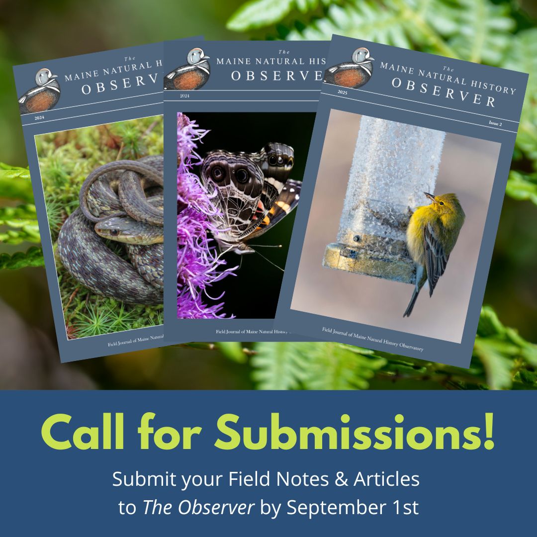 Call for Submissions!  Submit your Field Notes & Articles 
to The Observer by September 1st