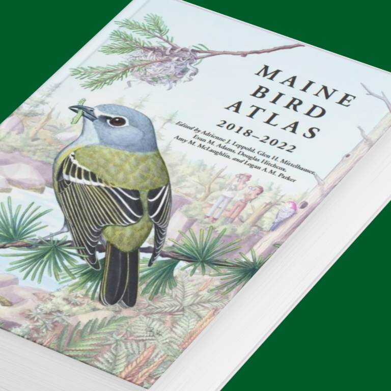Maine Bird Atlas
