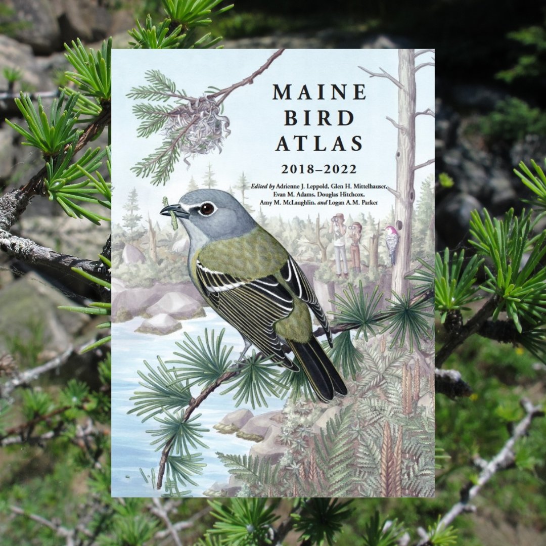 Maine Bird Atlas 