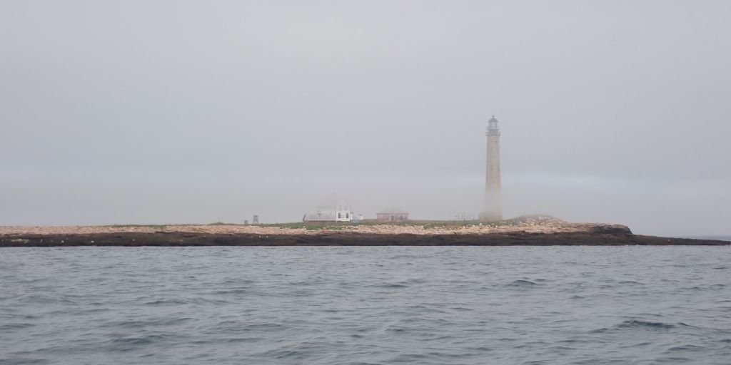 Petit Manan Island