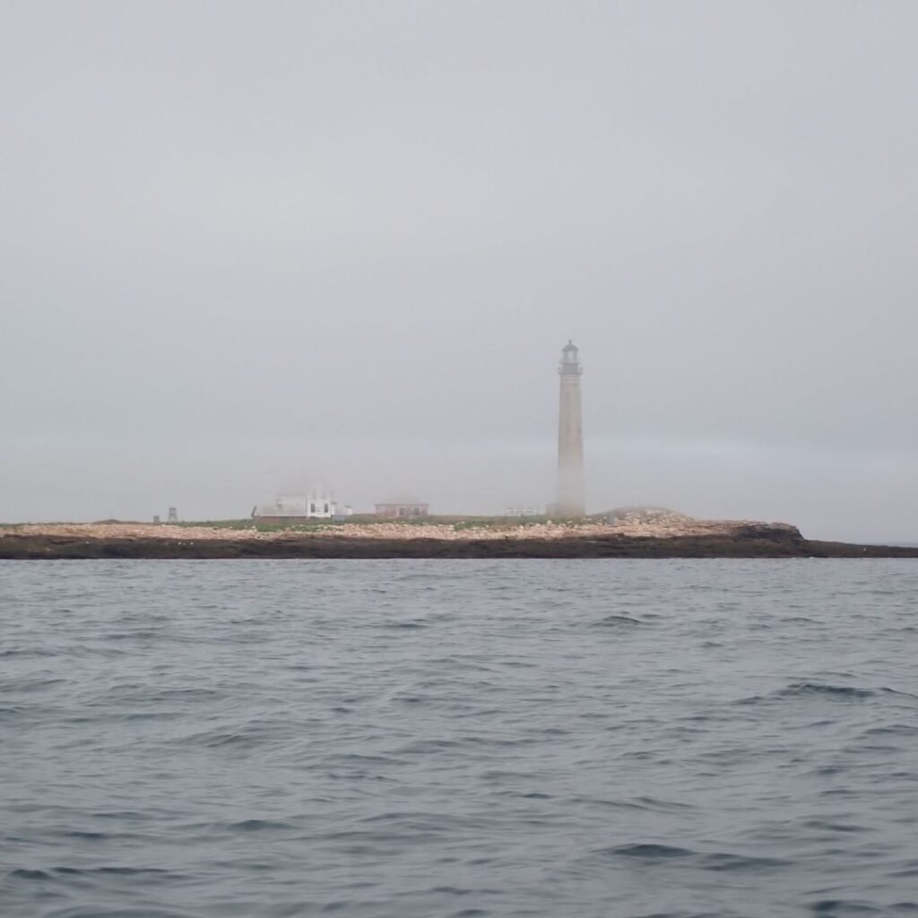 10/4/26: Observations Along the Maine Coast, part 5