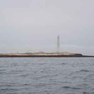 Petit Manan Island