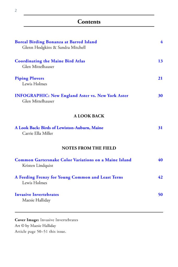 MNHO Observer 2026, 4 table of contents